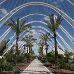 Discover Valencia