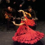 flamenco spain
