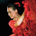 flamenco Spain